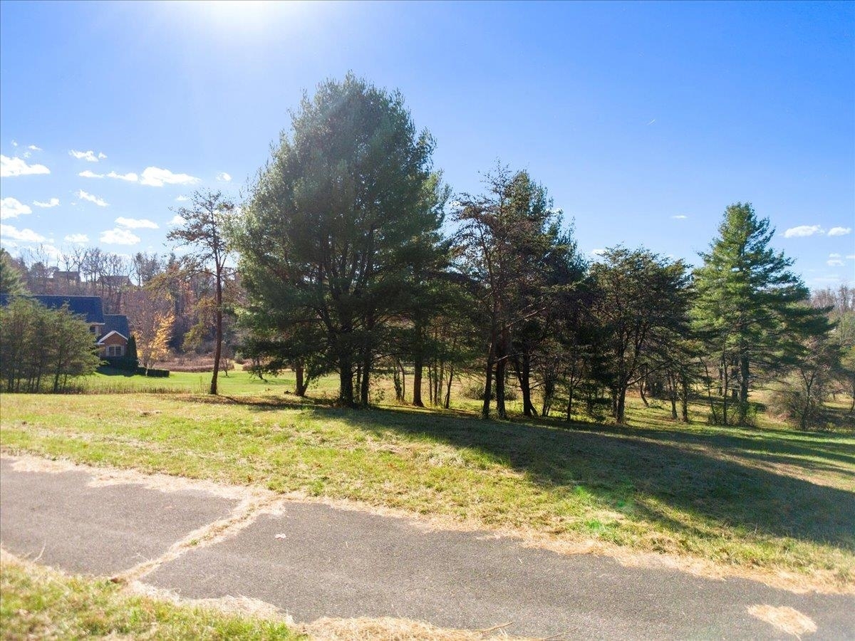 Property Photo:  Tbd Lot 1 Bishop Road  VA 24060 