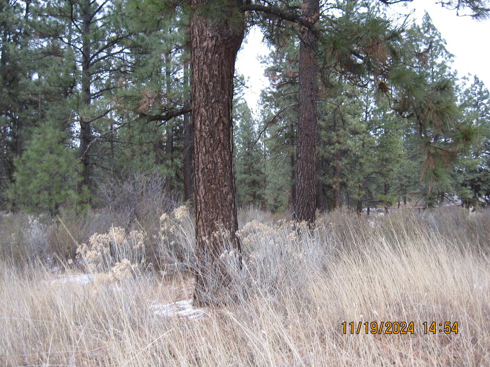 Property Photo:  Lot 28 Brittany Way  OR 97624 