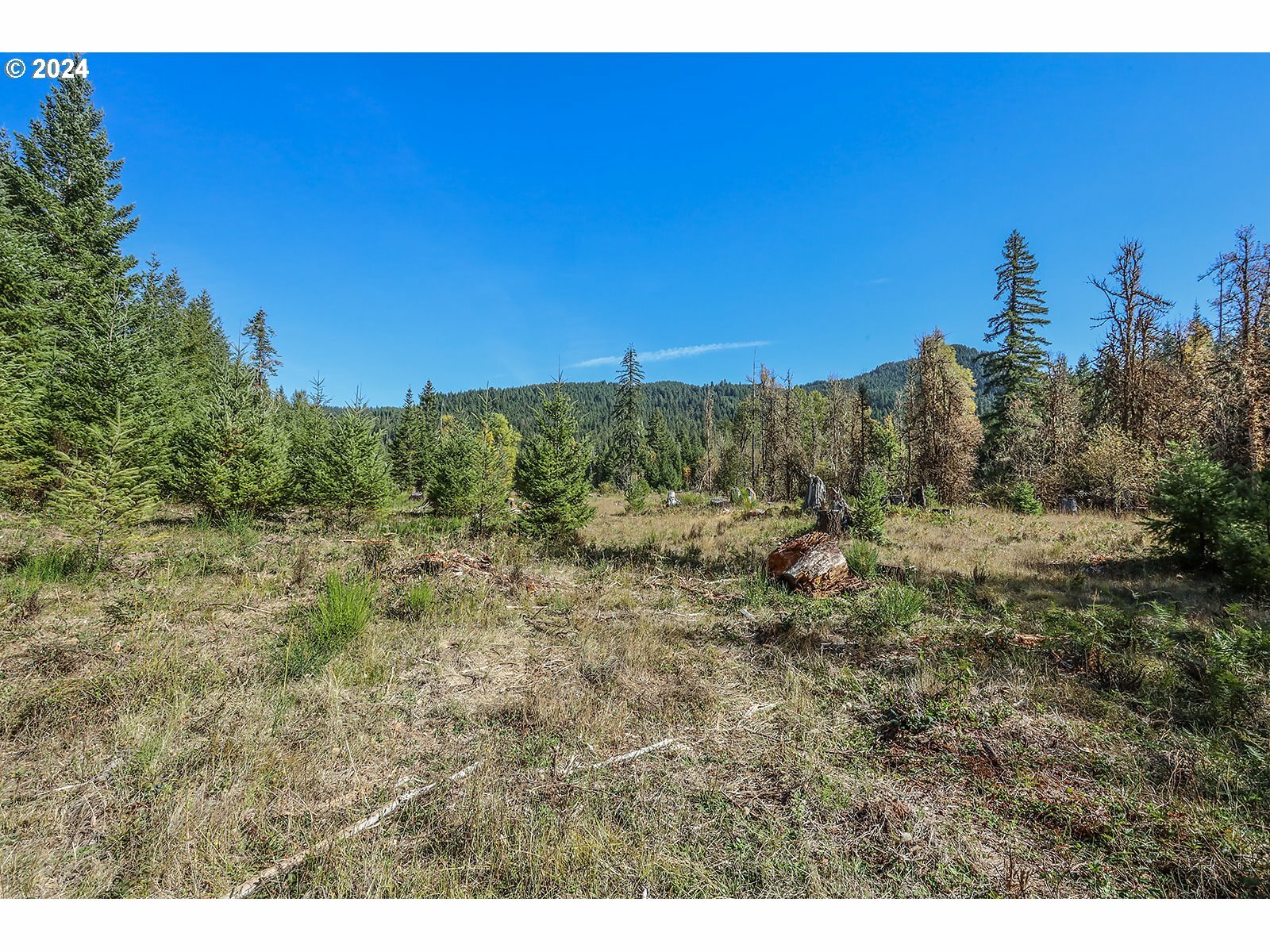 Property Photo:  10732 Wind River Hwy  WA 98610 