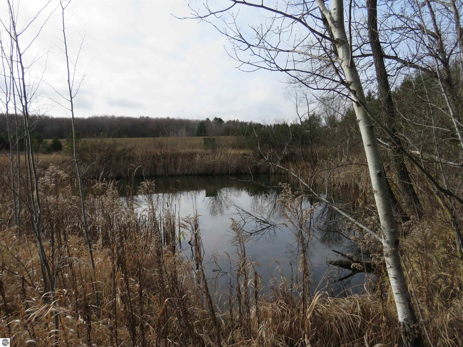 Property Photo:  00 N 43 1/4 Road  MI 49663 