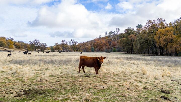 Property Photo:  11158 Rocky Creek Road  CA 95457 