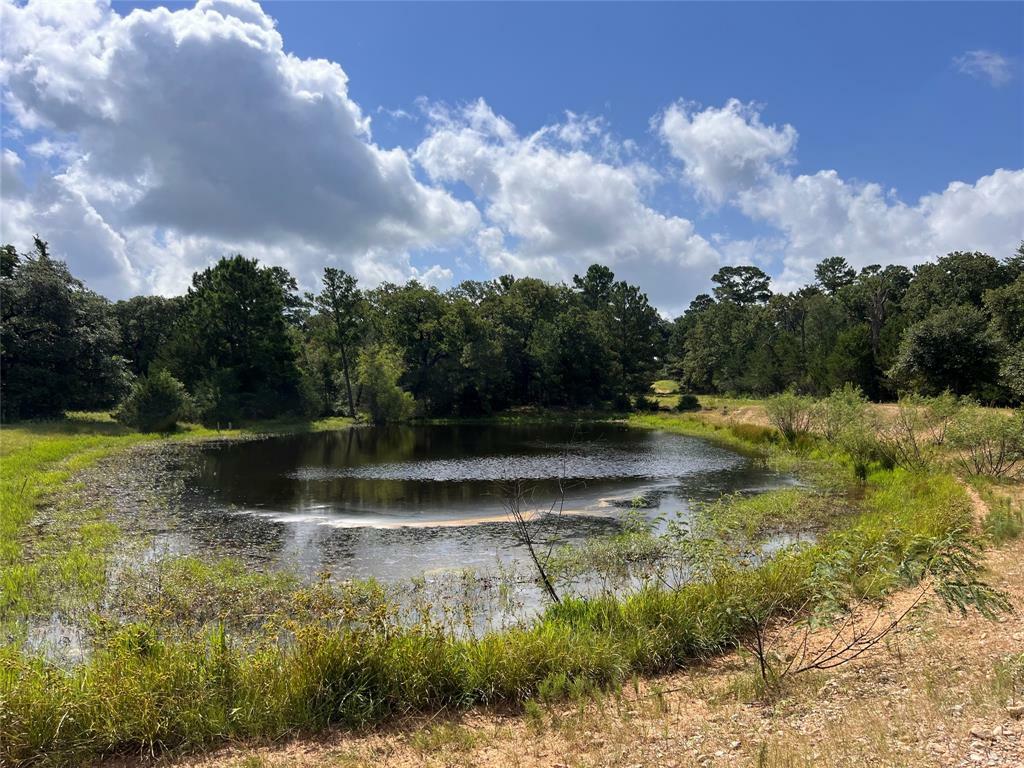 Tbd Big Pasture Road  Columbus TX 78934 photo