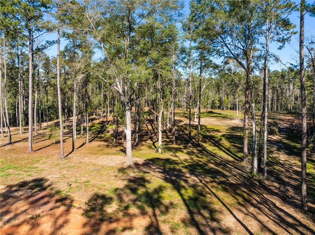 Property Photo: 17.77 Acres Nicaud Road LA 70437