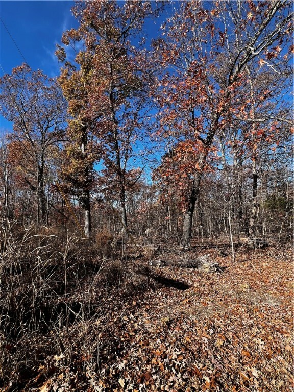 Property Photo:  Lot 1 Leith Lane  AR 72715 