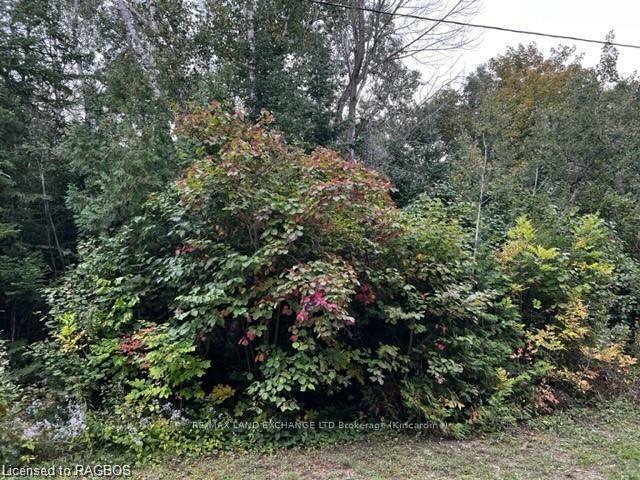 5 Shore Road  Saugeen Shores ON N0H 2L0 photo
