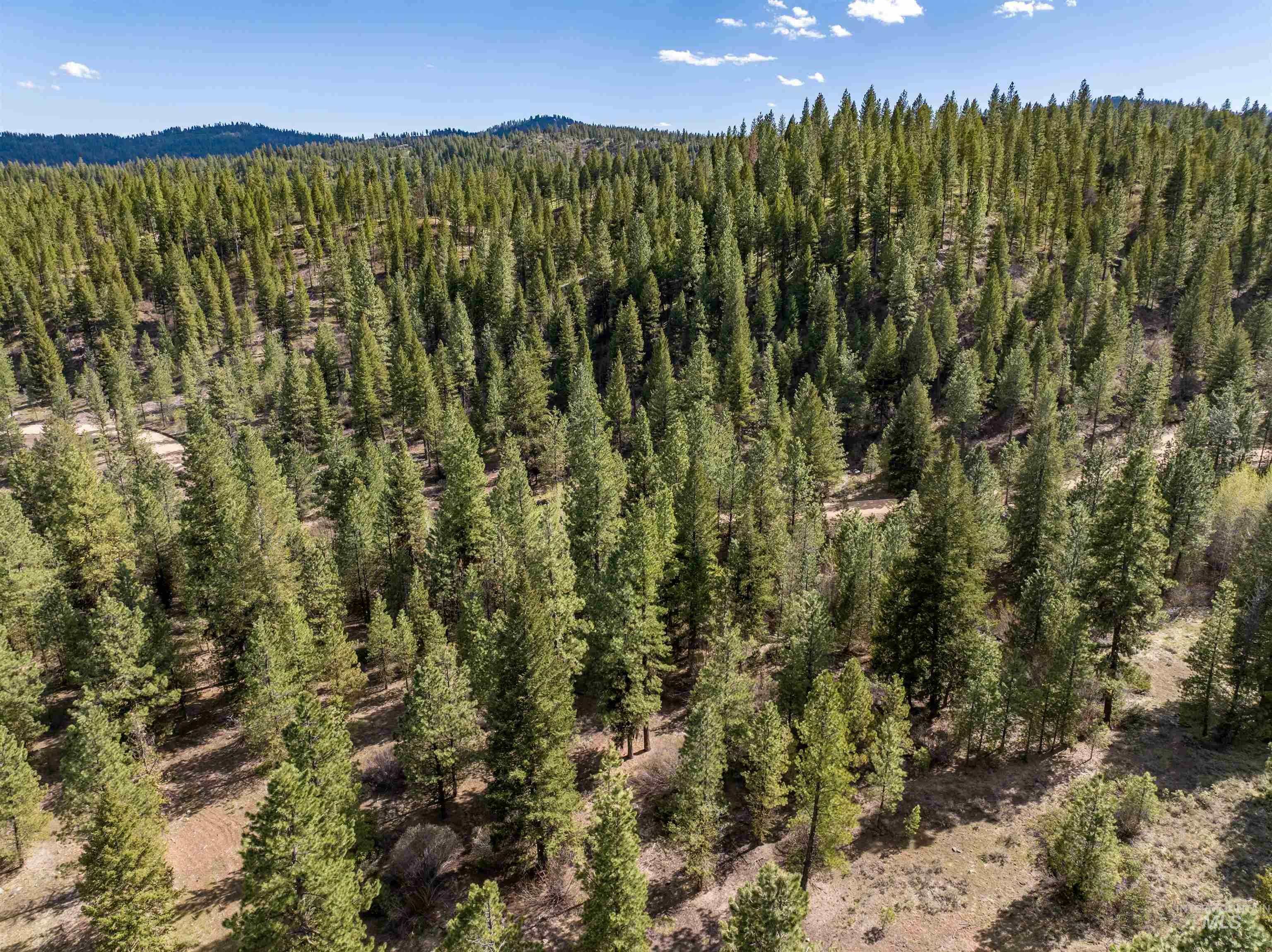 Property Photo: Lot 12 Star Creek Ct ID 83631