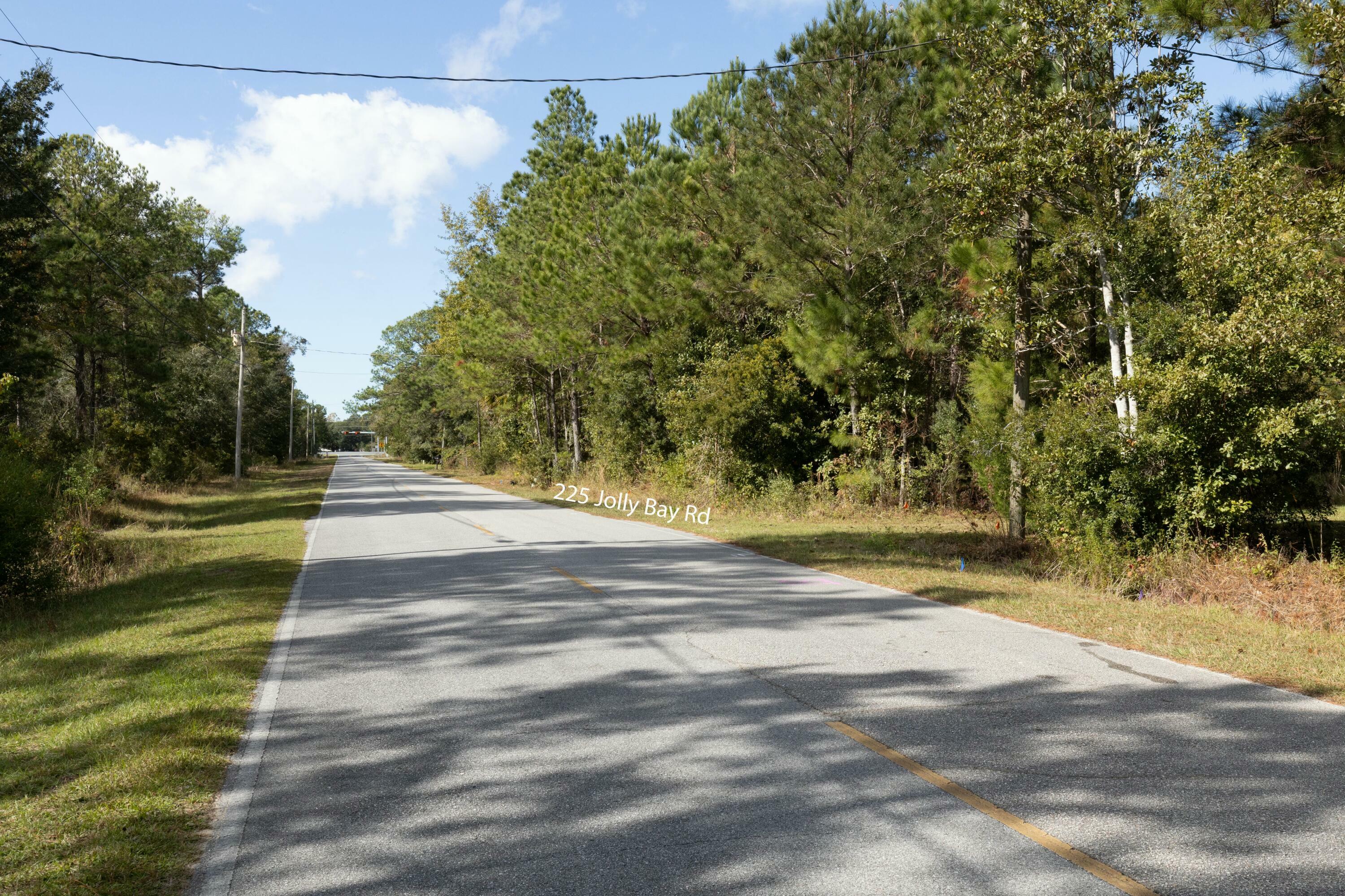 Property Photo:  225 Jolly Bay Road  FL 32439 