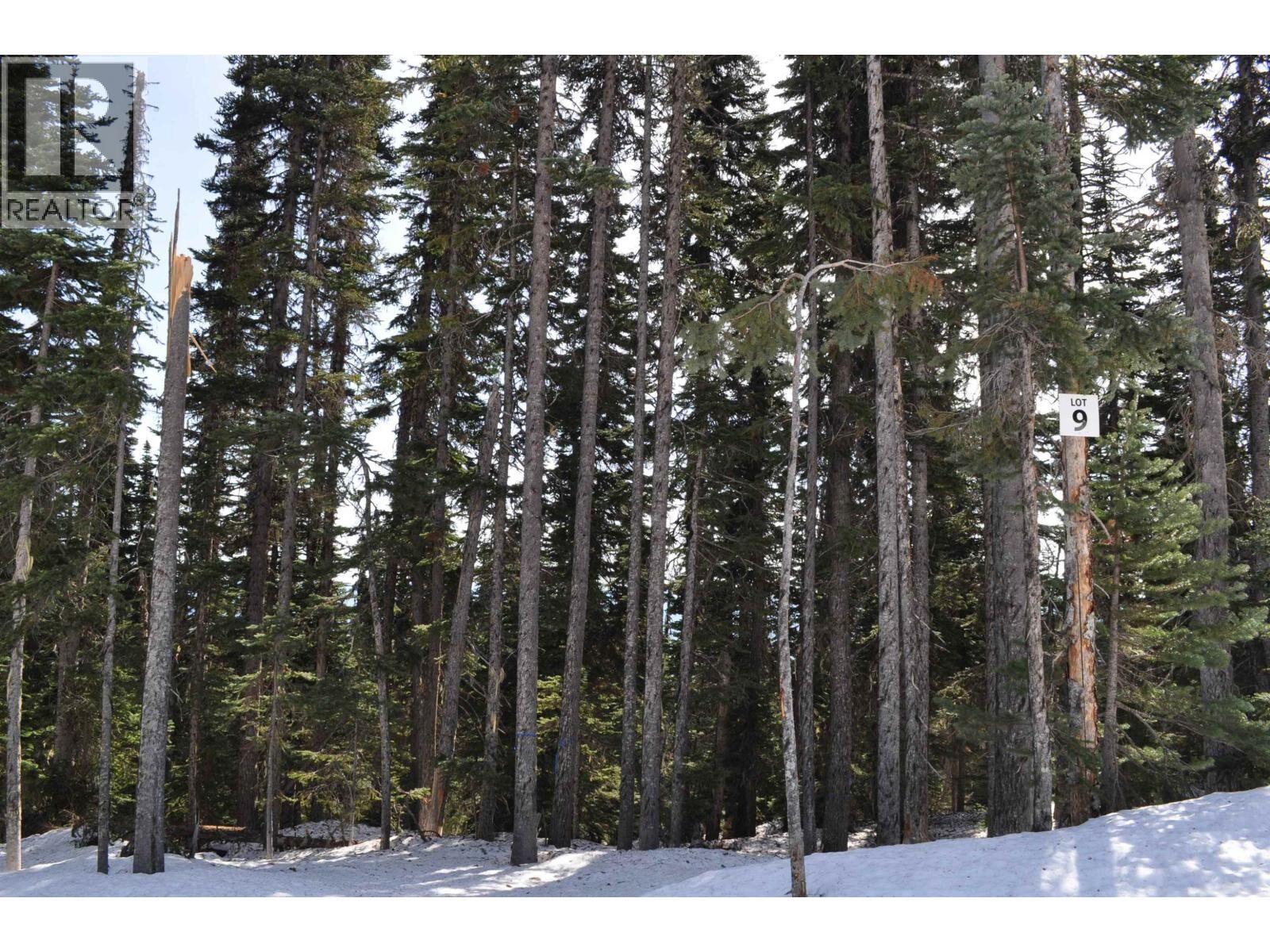 Property Photo:  9 Alpine Way Pst  BC V0J 2N0 