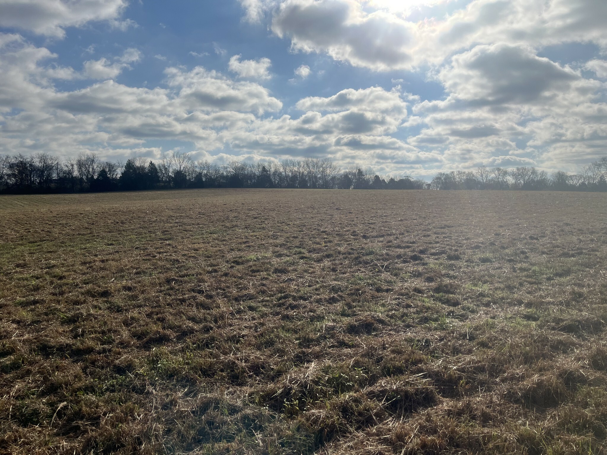 Property Photo:  1394 Littleton Ranch Rd  TN 37031 