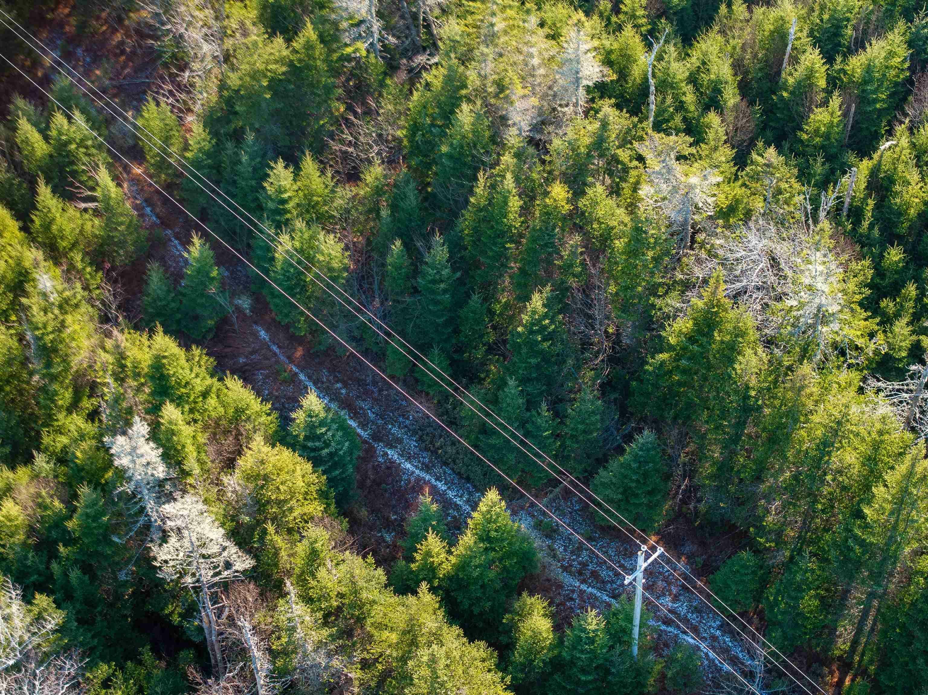 Property Photo:  Dufferin Mines Road Lot  NS B0J 2R0 