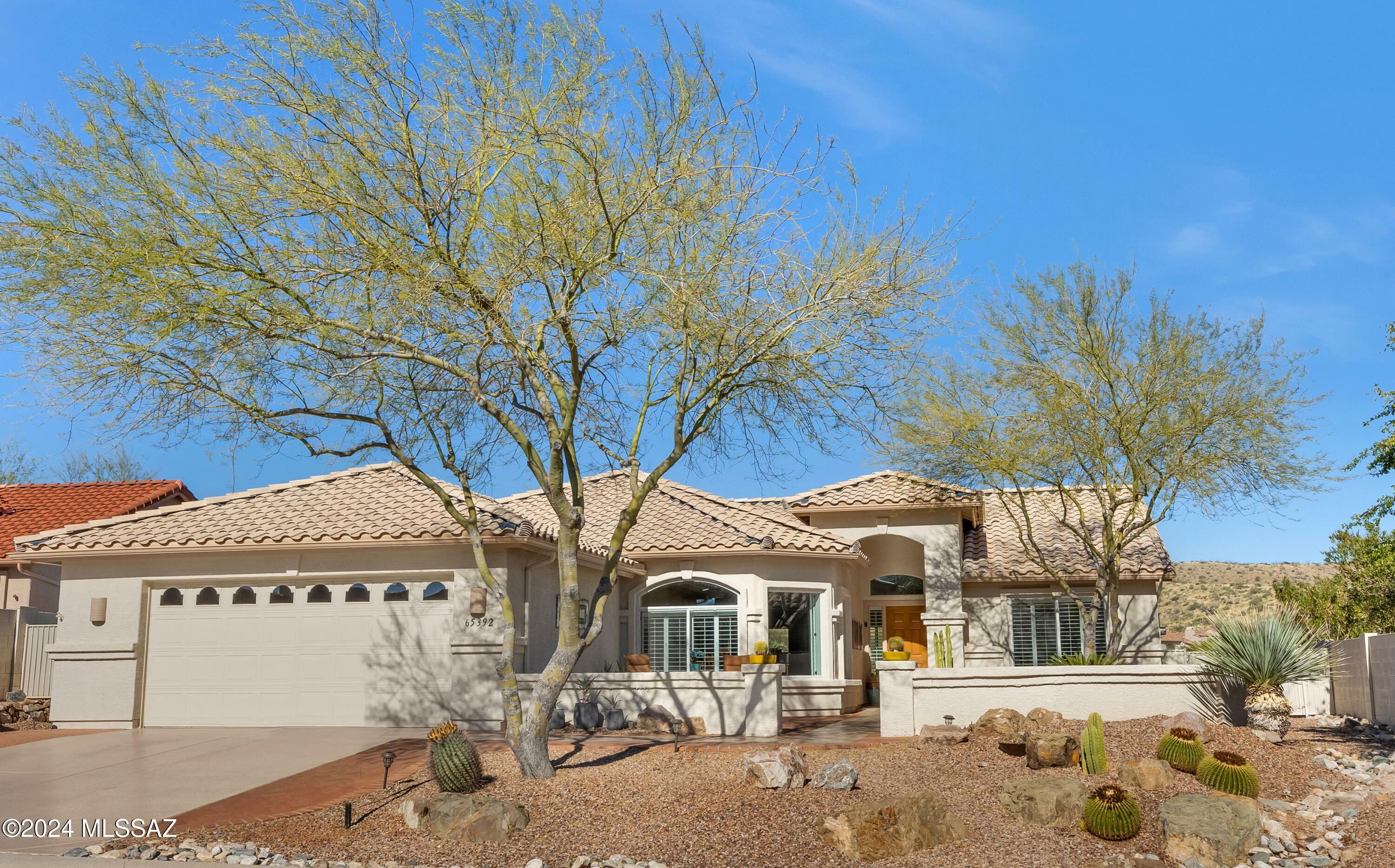 65392 E Rocky Mesa Drive  Saddlebrooke AZ 85739 photo