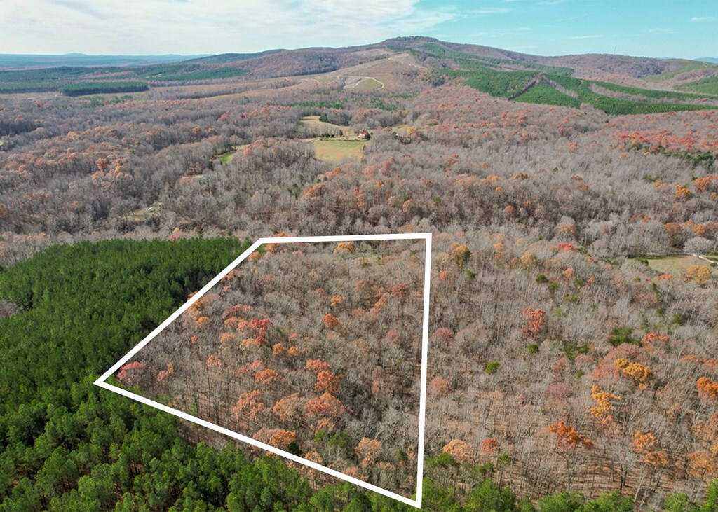 Property Photo:  2598 Meadow Creek Rd  VA 24533 