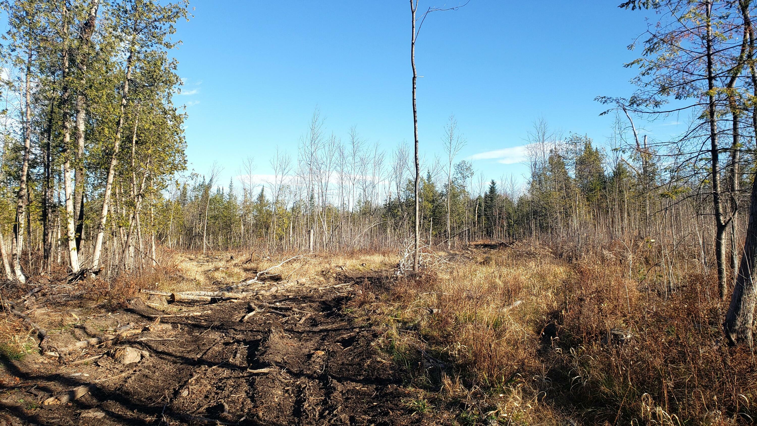 Property Photo:  0 Constable Burke Town Line Road  NY 12917 