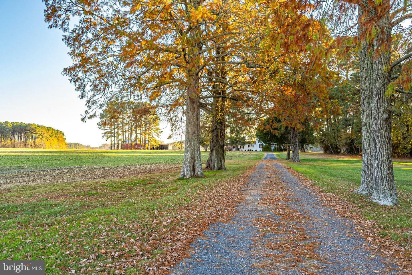 Property Photo:  30309 Rehobeth Road  MD 21838 