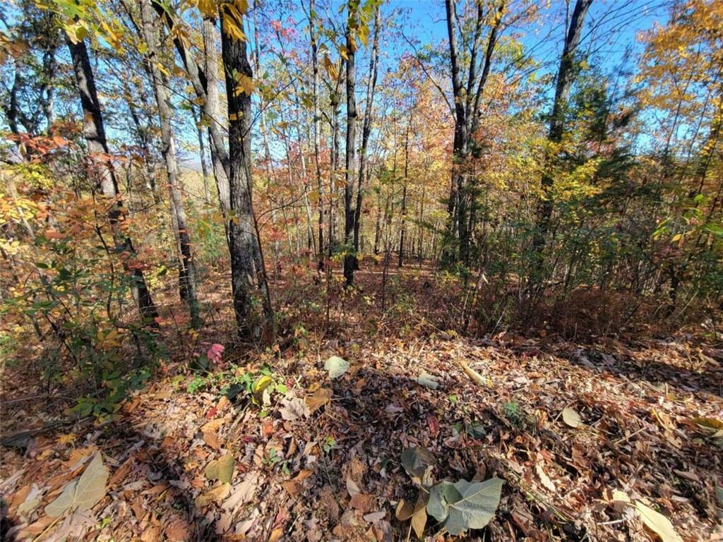 Property Photo:  8 Ac Old Burnt Mountain  GA 30540 