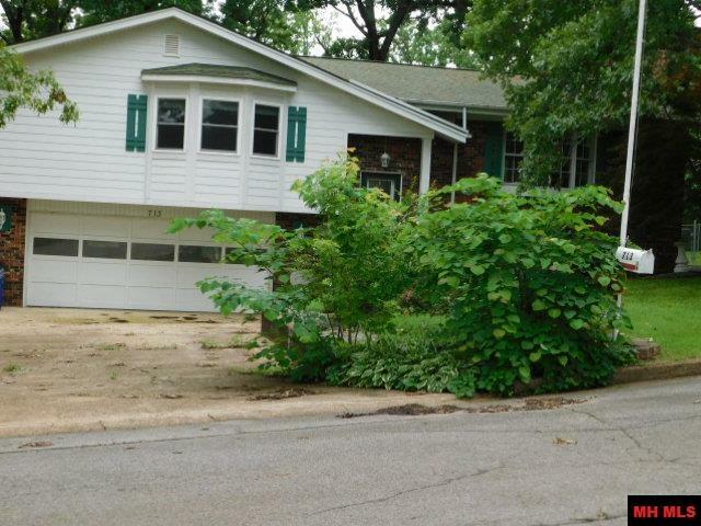 Property Photo: 713 Oak Knoll Drive AR 72653