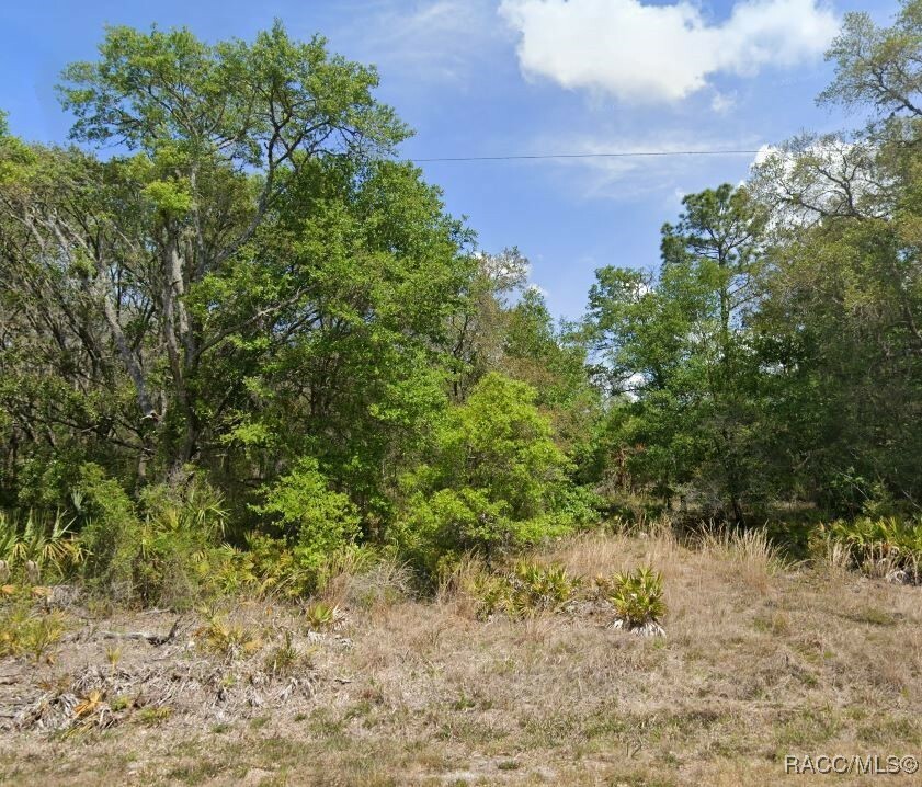 Property Photo:  11985 W Cornflower Drive  FL 34428 