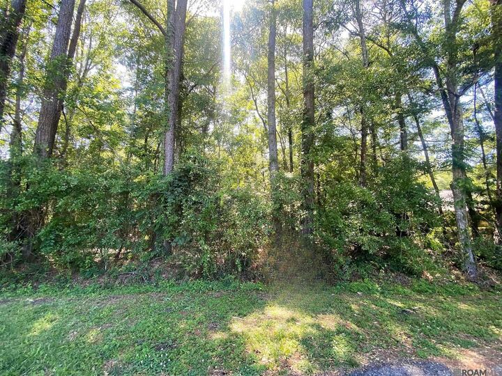 Property Photo:  2.06 Acres Woodridge St  LA 70726 