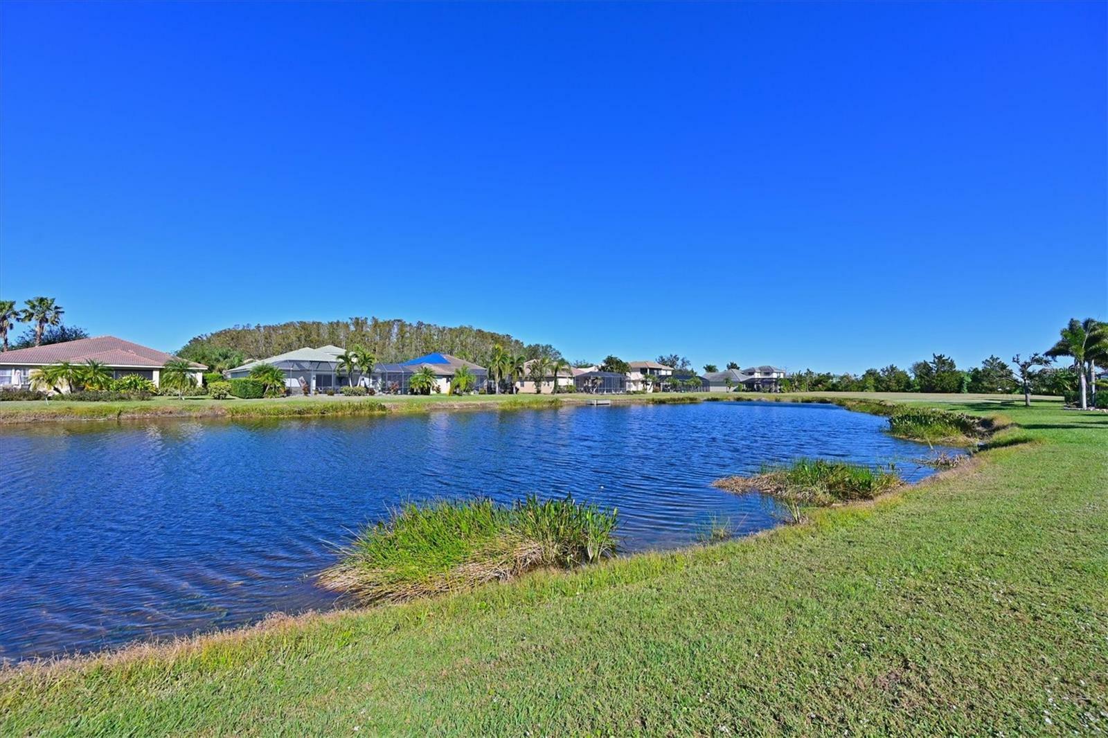 Property Photo:  9007 Brookfield Terrace  FL 34212 