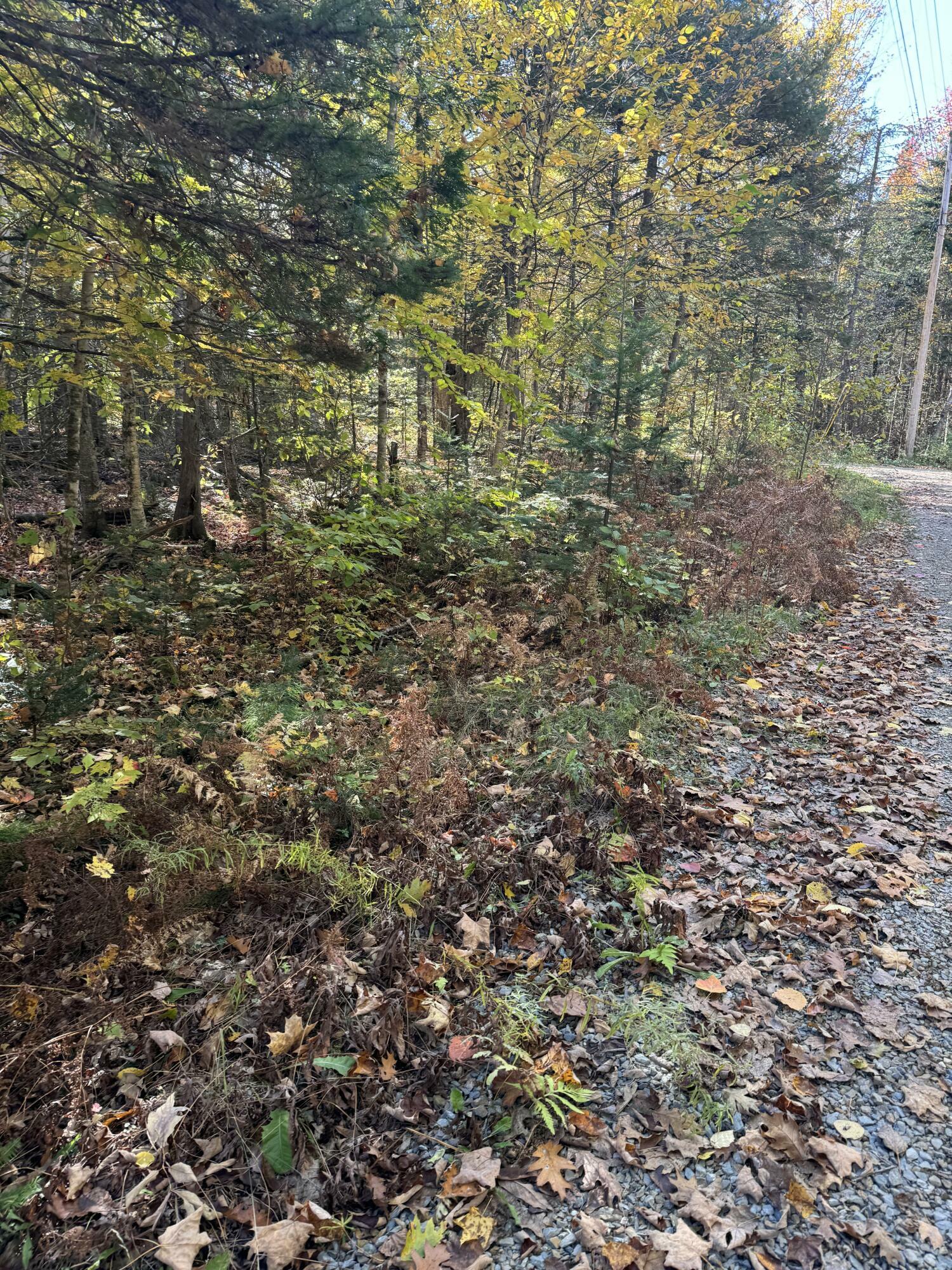 Property Photo: Lot 9-1 Lilly Drive ME 04953