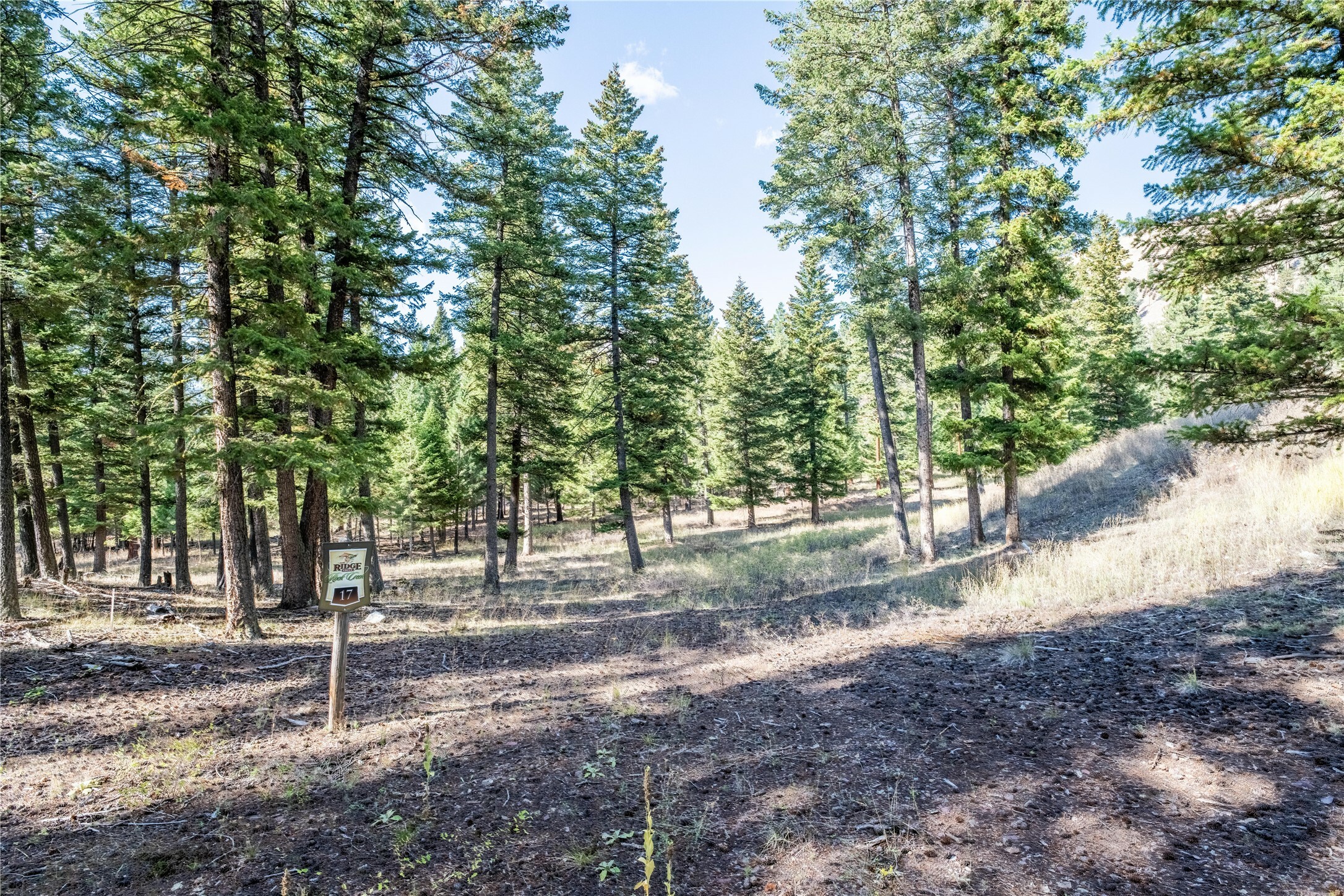 Property Photo:  Lot 17 Caddisfly Court  MT 59825 