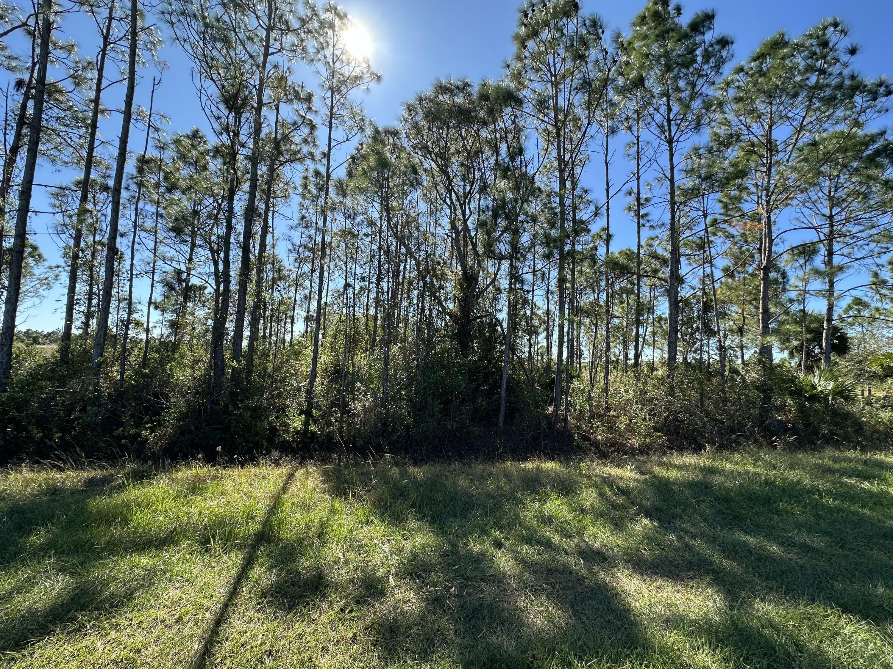 Property Photo:  16322 NW 294th Street  FL 34972 