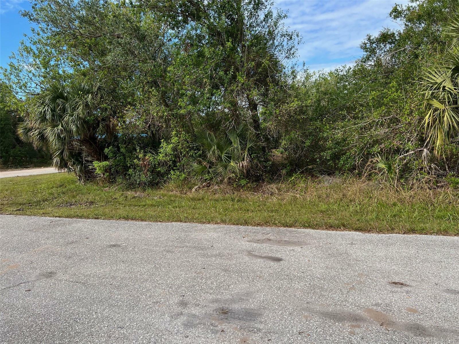 Property Photo:  13356 Kaplan Terrace  FL 33981 