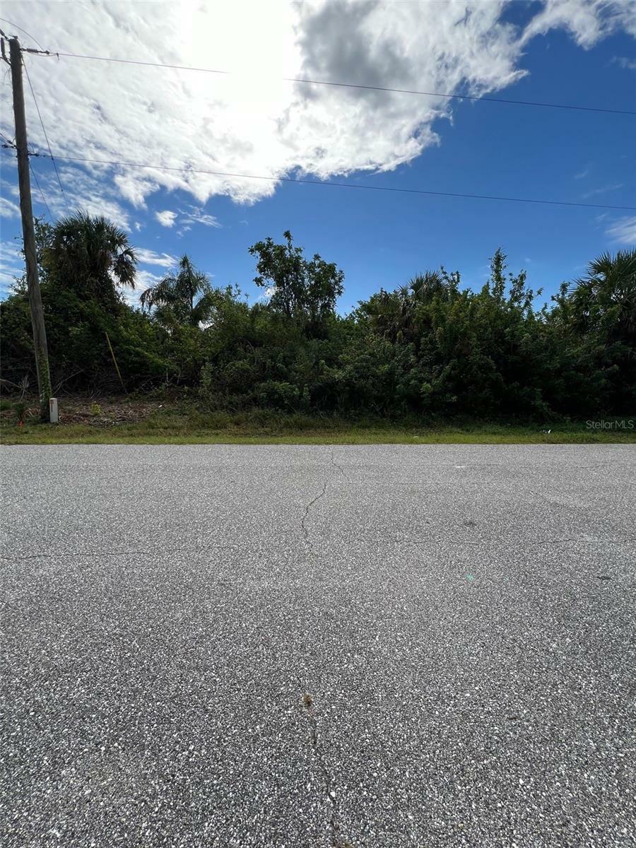 Property Photo:  13323 Harney Avenue  FL 33981 