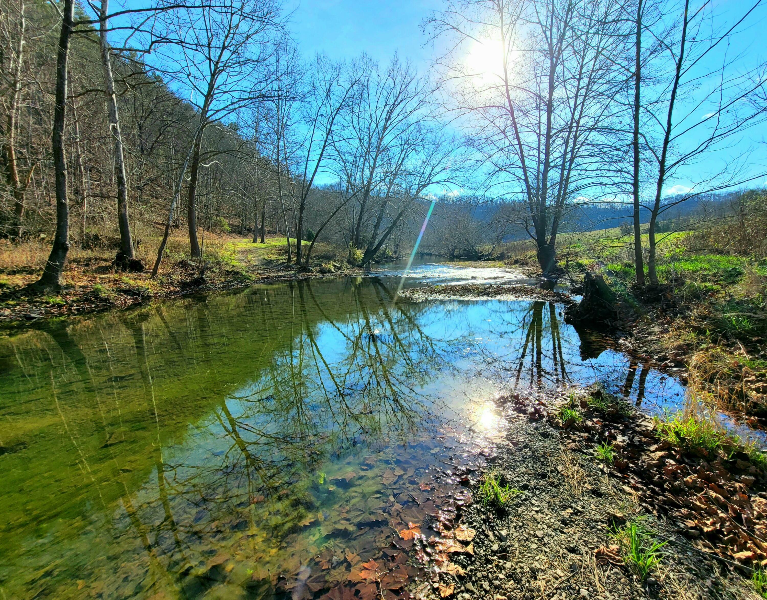 Property Photo:  10269 Greenville Road  WV 24918 