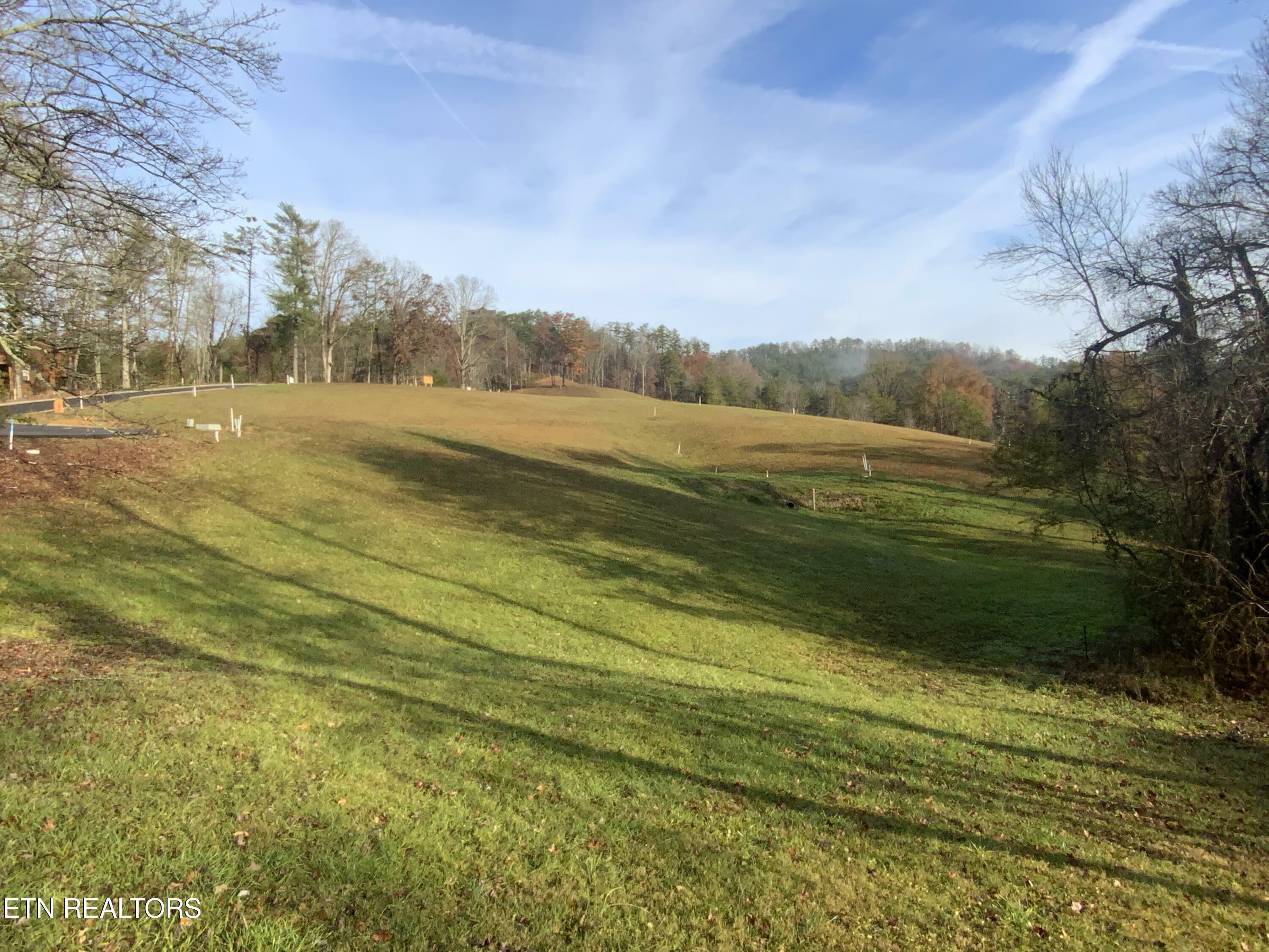 Property Photo:  Lot #75 Max Ridge Lane  TN 37862 