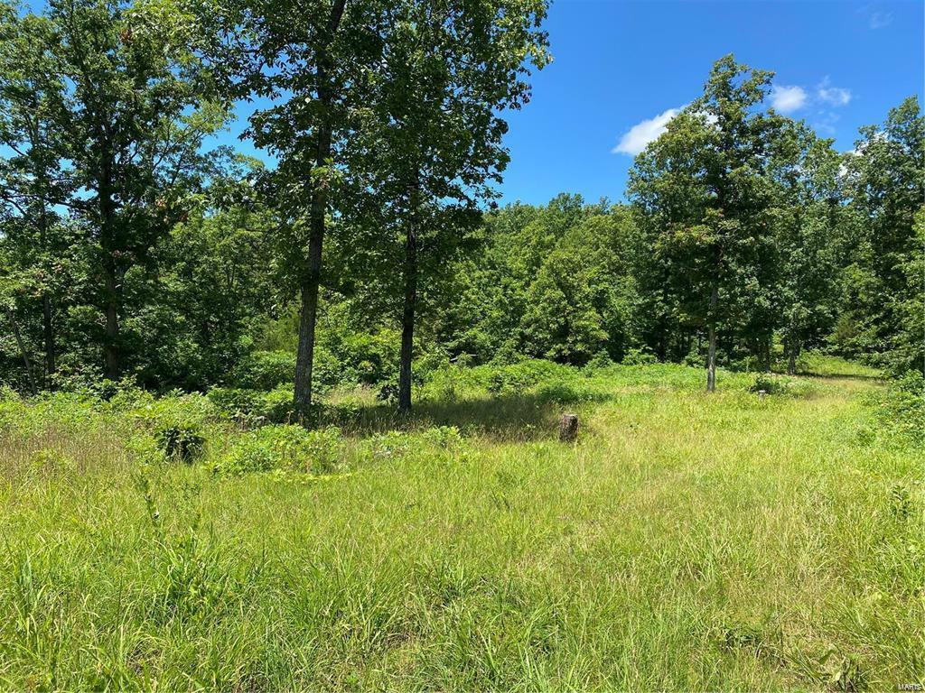 Property Photo:  0 53.84+/- Ac Briarcliff Trail  MO 63071 