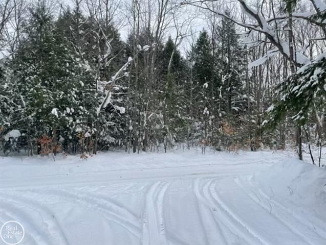 Vl Kenyon Trail  Otsego Lake Twp MI 49733 photo