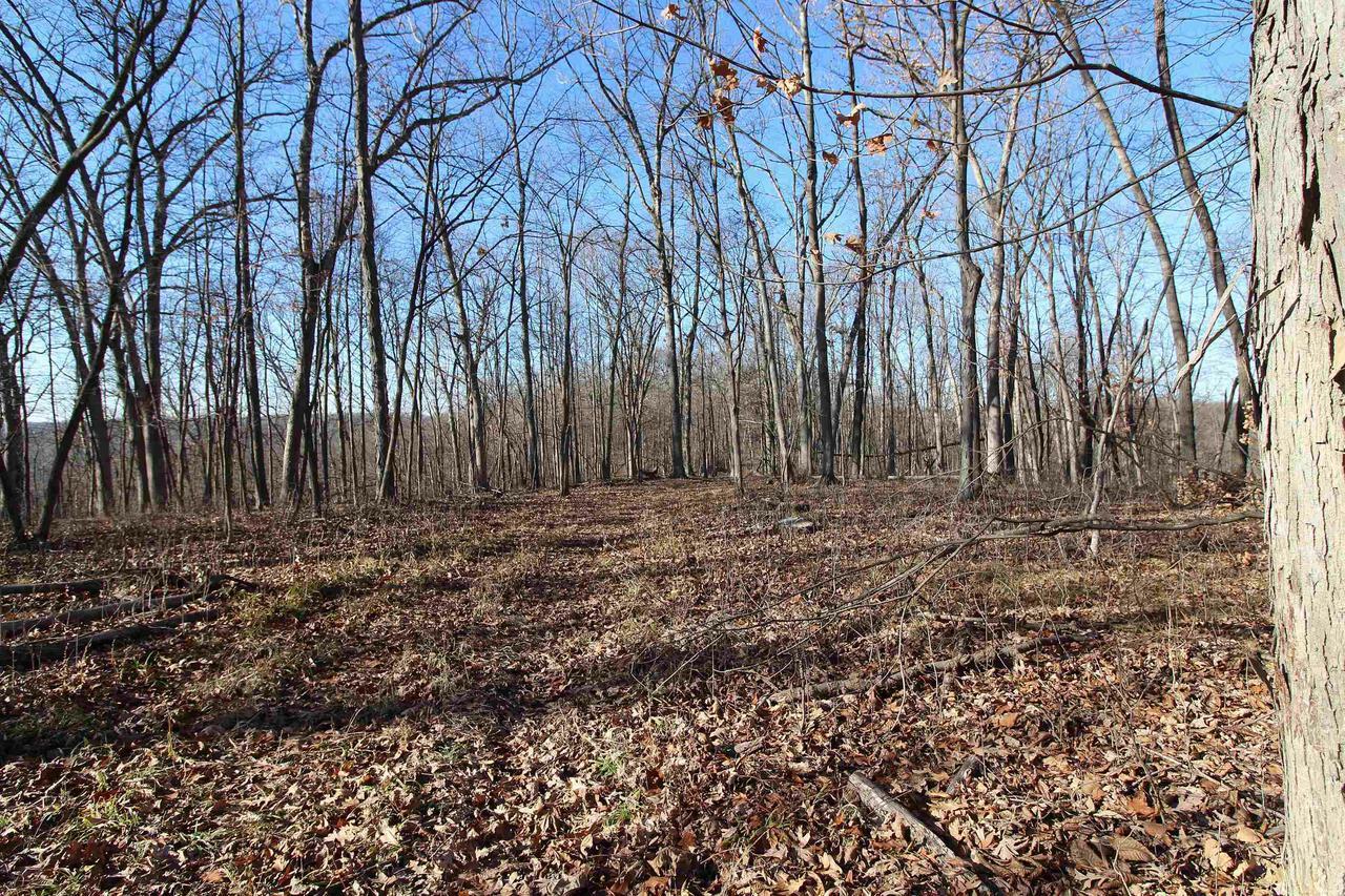 Property Photo:  56 Sunny Slope Road  WI 53924 