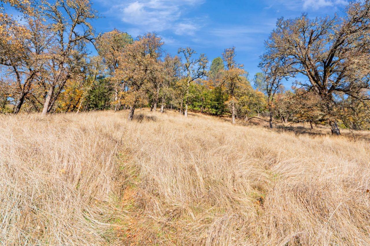 Property Photo:  16297 Dog Bar Road  CA 95949 