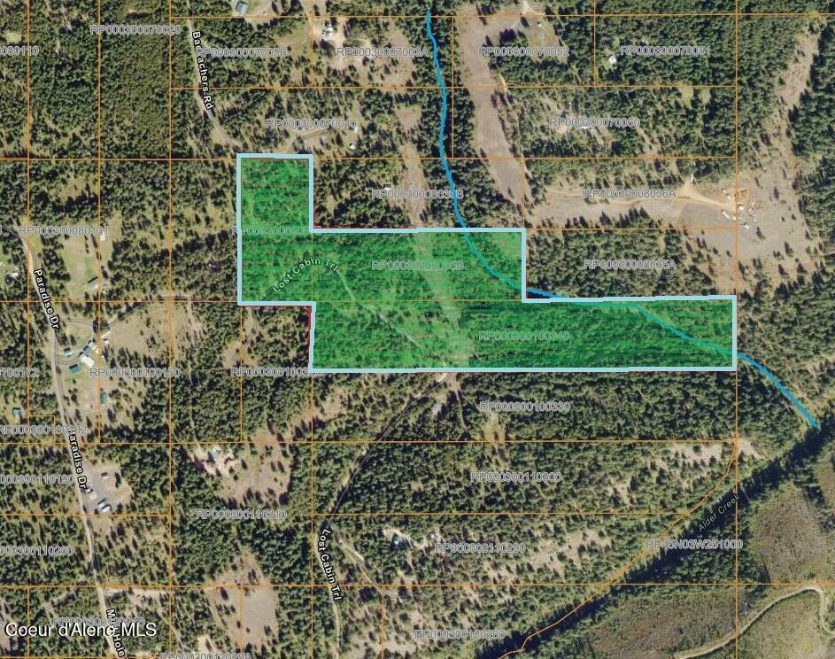 27.5ac Lost Cabin Trail  St. Maries ID 83861 photo