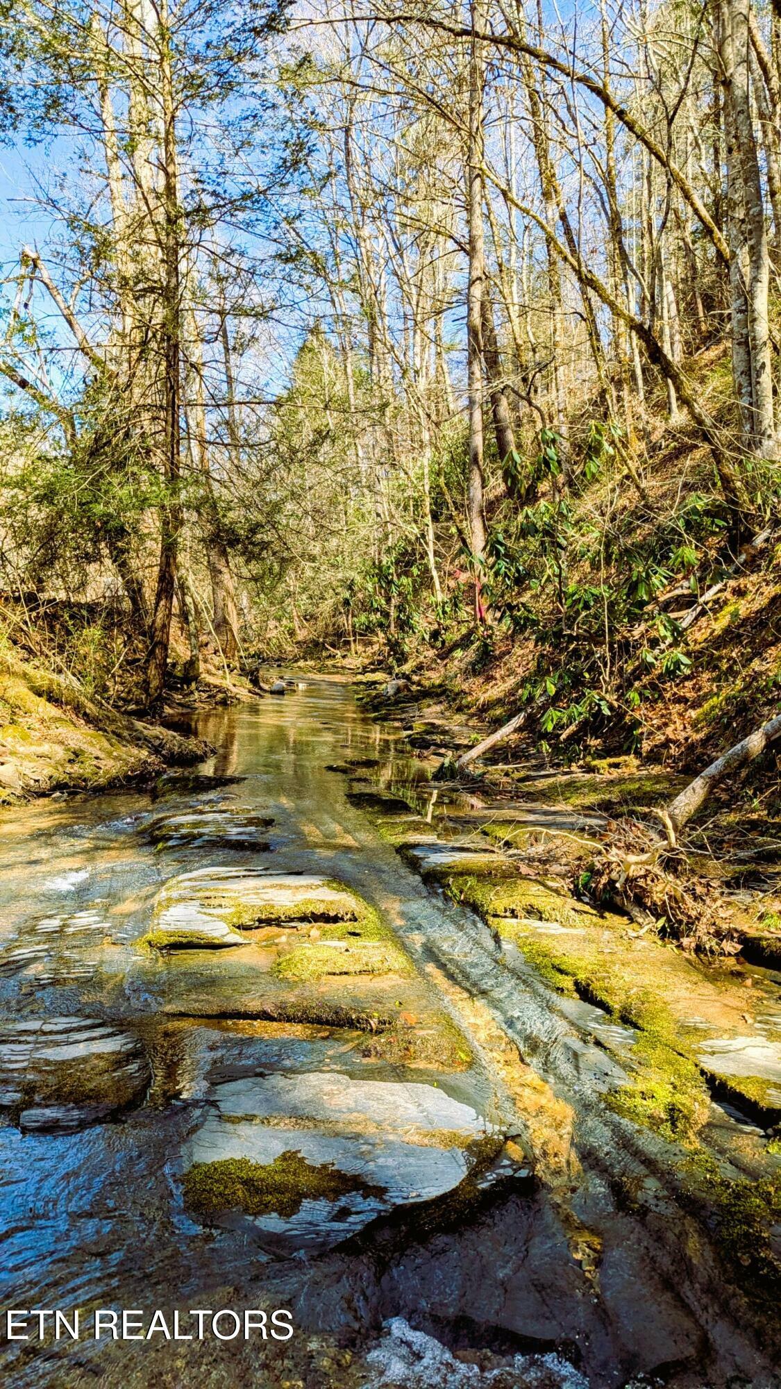 Property Photo:  Carrs Creek Rd  TN 37882 