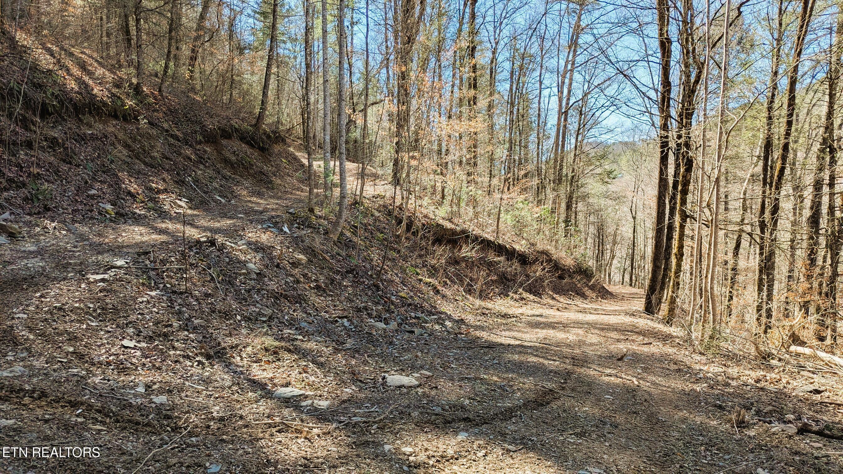 Property Photo:  Carrs Creek (24 Acres) Rd  TN 37882 