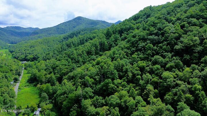 Property Photo:  Carrs Creek (24 Acres) Rd  TN 37882 