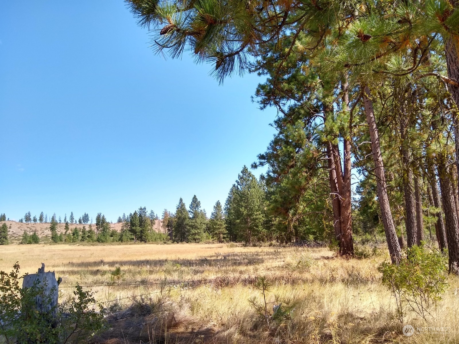 Property Photo:  0  Lower Hooker Creek Road  WA 98812 