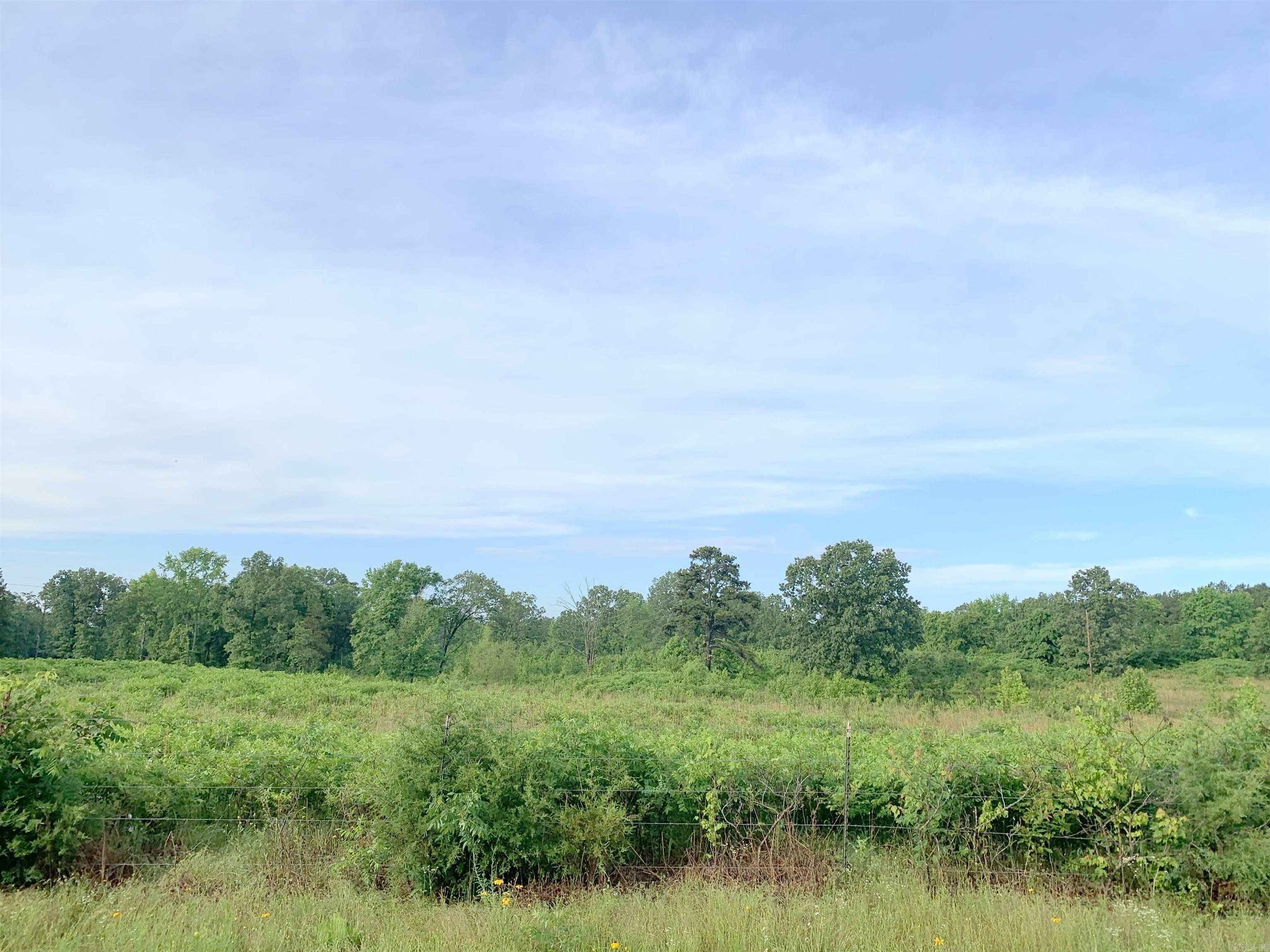 Property Photo:  C A Holland Rd  AR 72131 