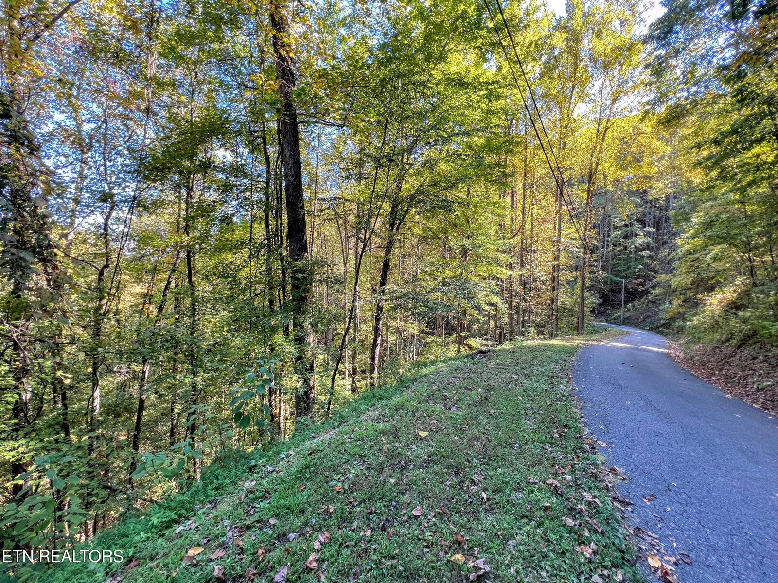 Property Photo: 1020 Big Buck Tr TN 37882