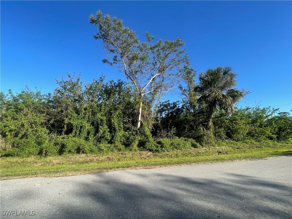 Property Photo:  26516 Flower Road  FL 33955 