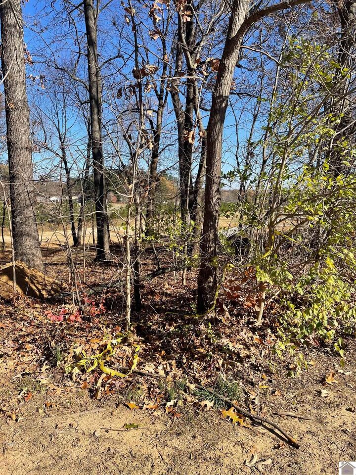 Property Photo: Lot L-81 Forest Ridge Drive KY 42003