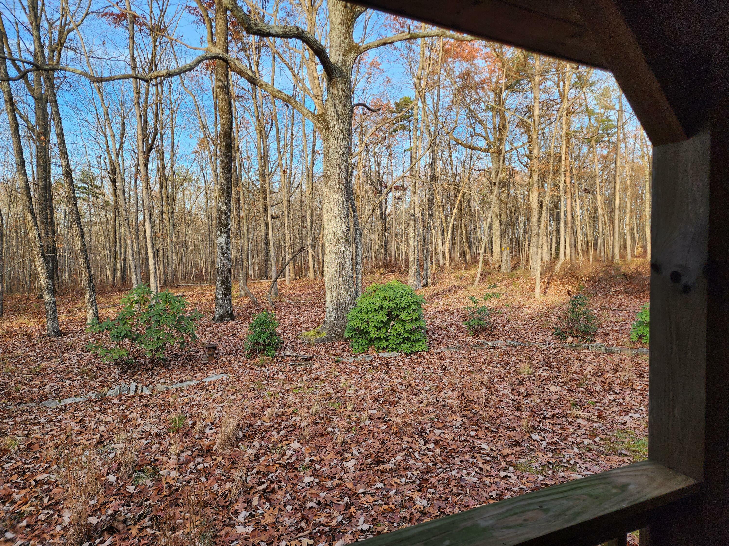 Property Photo:  21766 Highway 157  GA 30731 