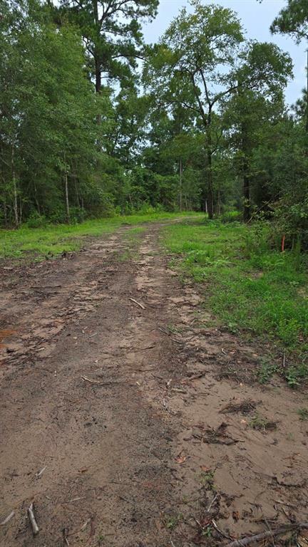 Property Photo:  19245 Lake Mount Pleasant Road  TX 77356 