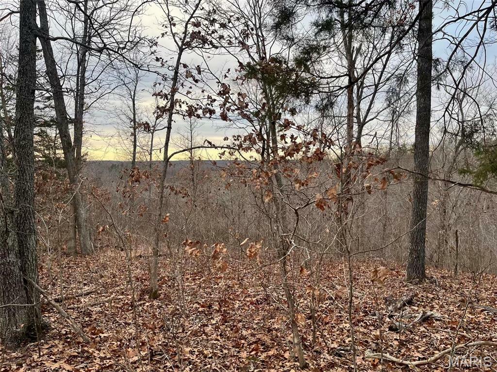 Property Photo: 0 125.87 Ac Tract1-A Clear Creek Road MO 63071