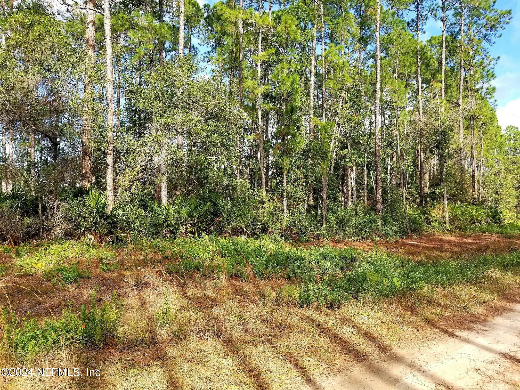 Property Photo:  160 Edgemere Drive  FL 32139 