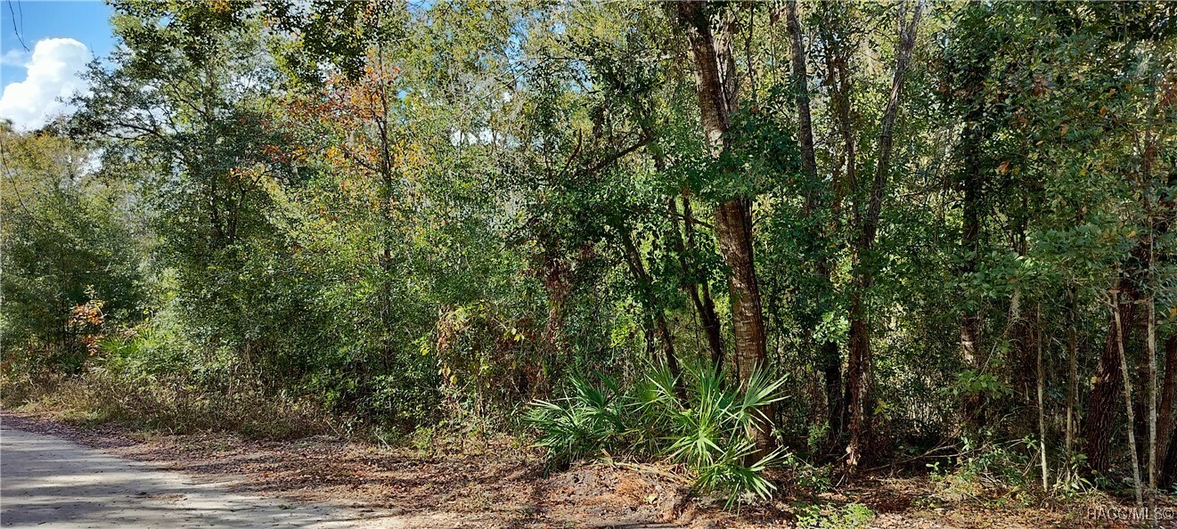 Property Photo:  6353 W Country Club Drive  FL 34448 