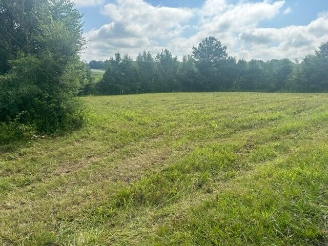 0 Dave O Lane  Loretto TN 38469 photo