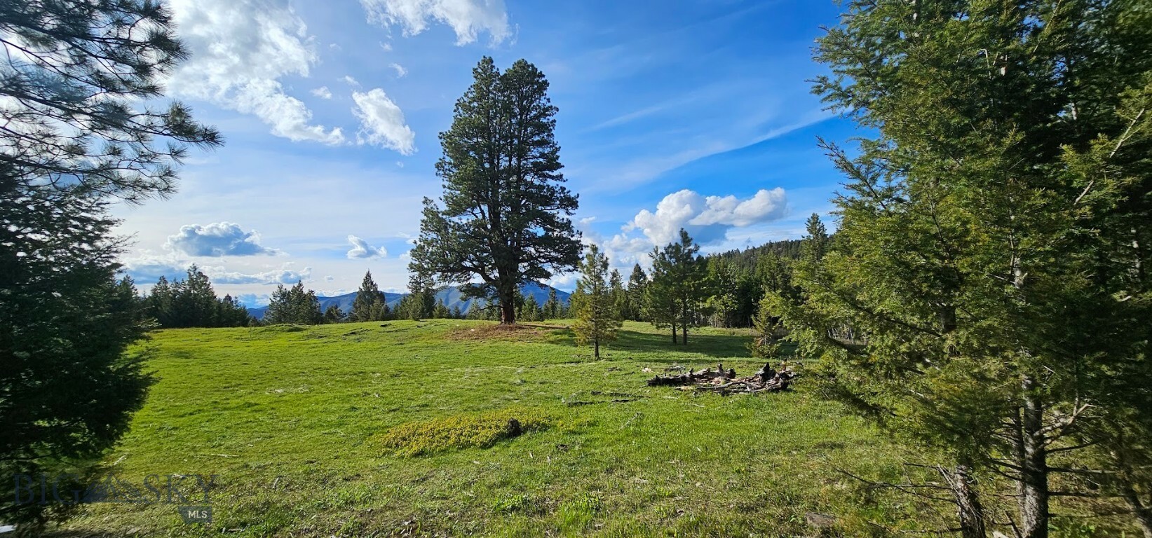 Property Photo:  5 Bull Elk Tracts  MT 59823 